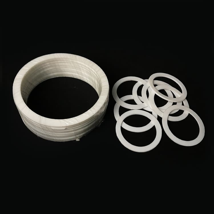 Expanded PTFE Gasket