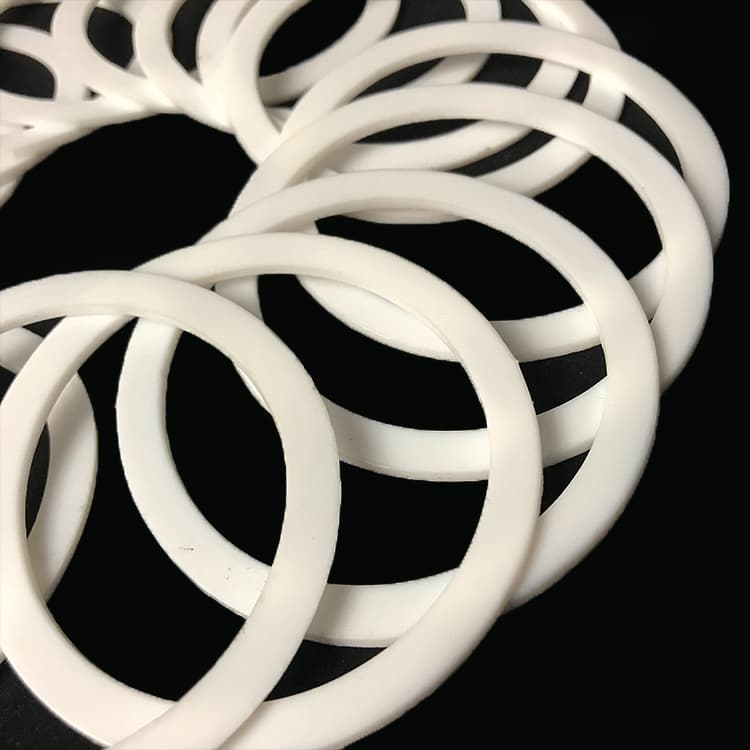 PTFE Gasket