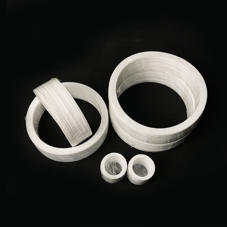 PTFE Gasket