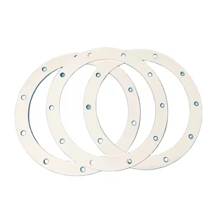 PTFE gasket for industrial sealing